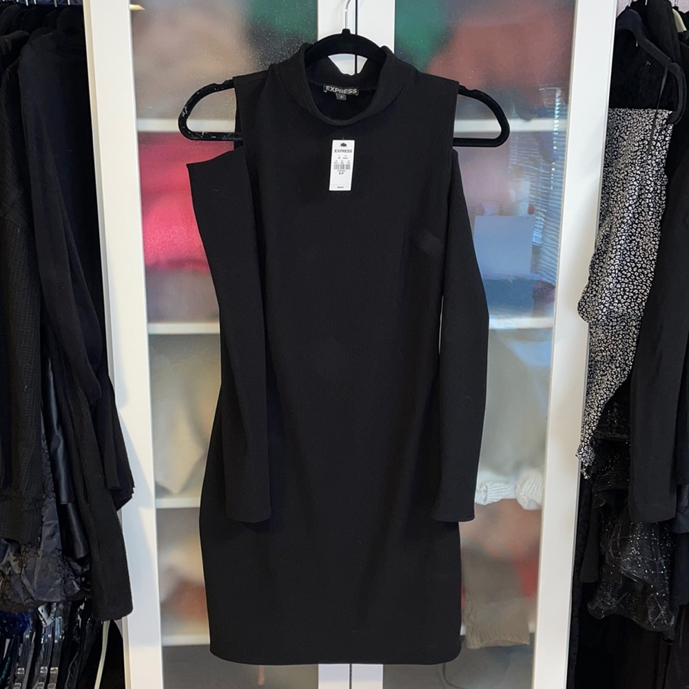 NWT Express dress